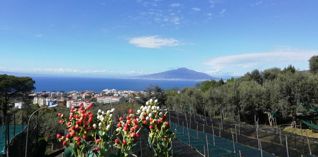 Sorrento Dolce Casa Apartment Ngoại thất bức ảnh